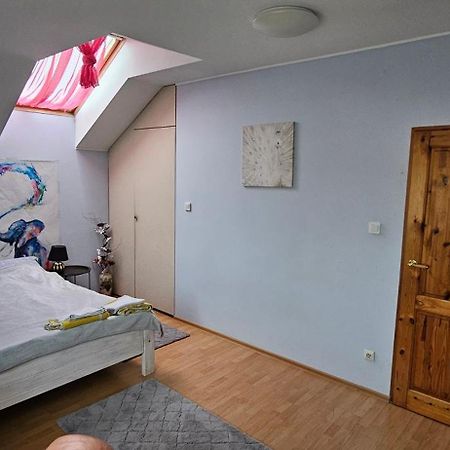 קומורניקי Apartament W Komornikach מראה חיצוני תמונה