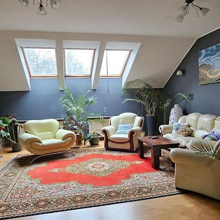 קומורניקי Apartament W Komornikach מראה חיצוני תמונה
