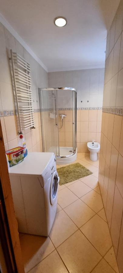 קומורניקי Apartament W Komornikach מראה חיצוני תמונה