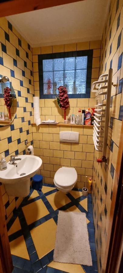 קומורניקי Apartament W Komornikach מראה חיצוני תמונה